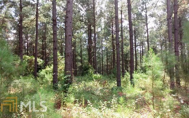 0 Whipporwill Road Butler, GA 31006 - Photo 1 of 1 a view of forest