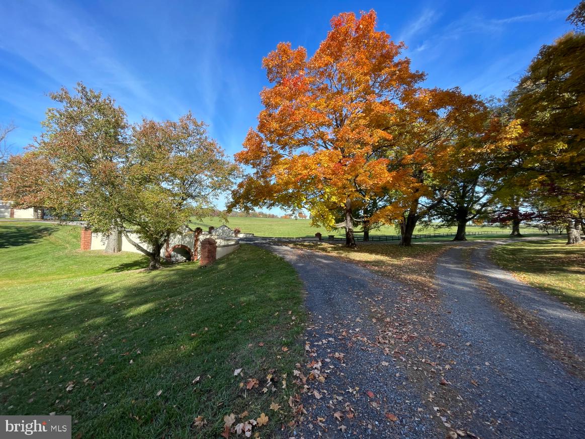 35955 Huntland Farm Road Middleburg, VA 20117 - Photo 36 of 64