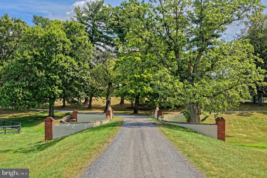 35955 Huntland Farm Road Middleburg, VA 20117 - Photo 54 of 64