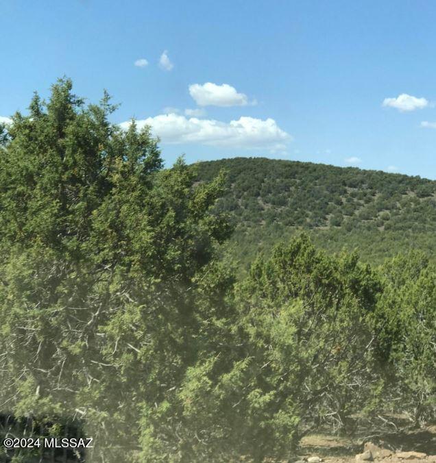 268 Olivas Alone Road Williams, AZ 86046 - Photo 4 of 12