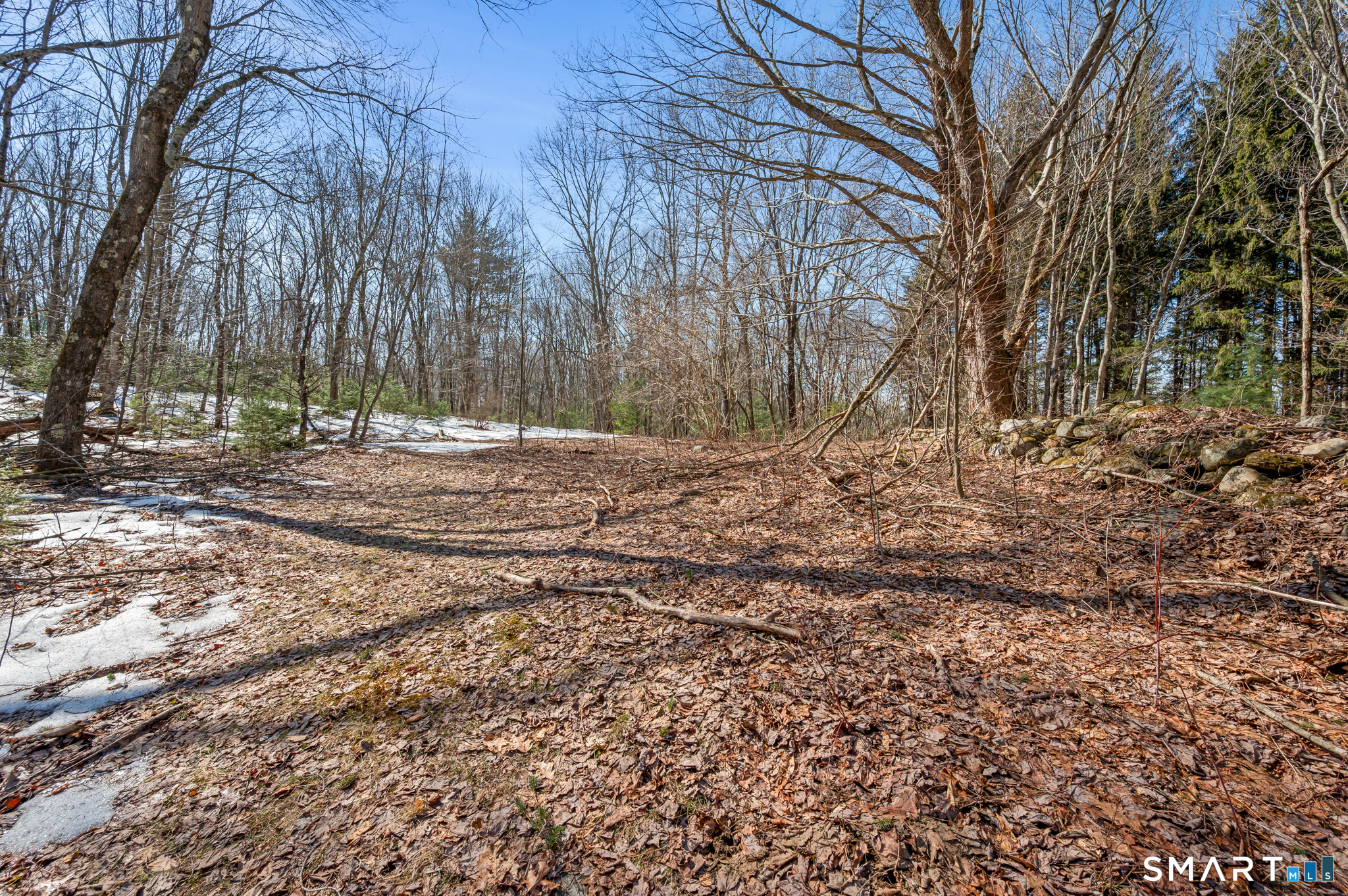 138 Wolcott Road Plymouth, CT 06786 - Photo 29 of 30