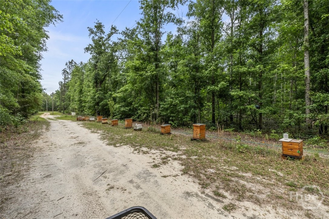 373 Chuck Ellis Road Portal, GA 30450 - Photo 27 of 67