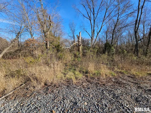 $45,000 | 0 North Il 37 Highway, Bonnie, IL 62816