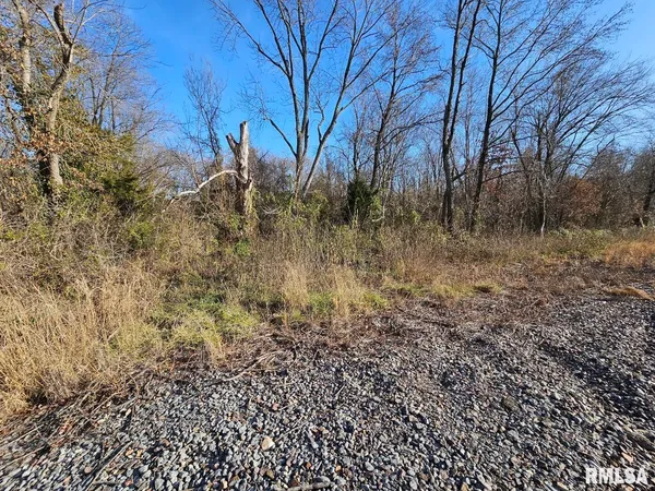 $45,000 | 0 North Il 37 Highway, Bonnie, IL 62816