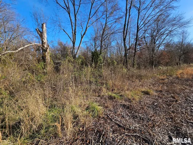 $45,000 | 0 North Il 37 Highway, Bonnie, IL 62816