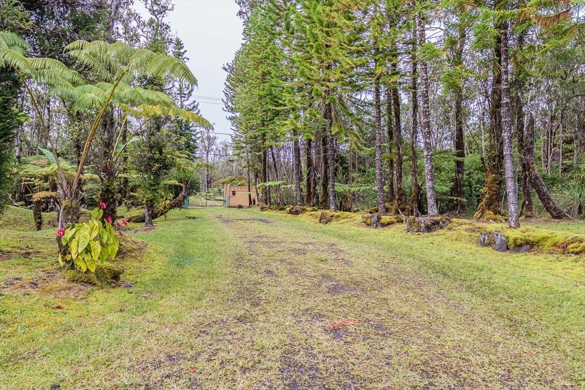 11-2941 Kaleponi Road Mountain View, HI 96771 - Photo 3 of 23 Gallery Image 3