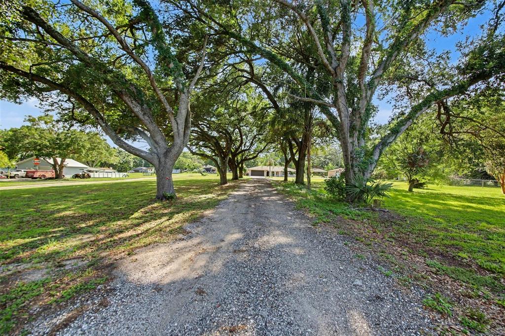 10073 Lake Meadow Road Ocoee, FL 34761 - Photo 3 of 9
