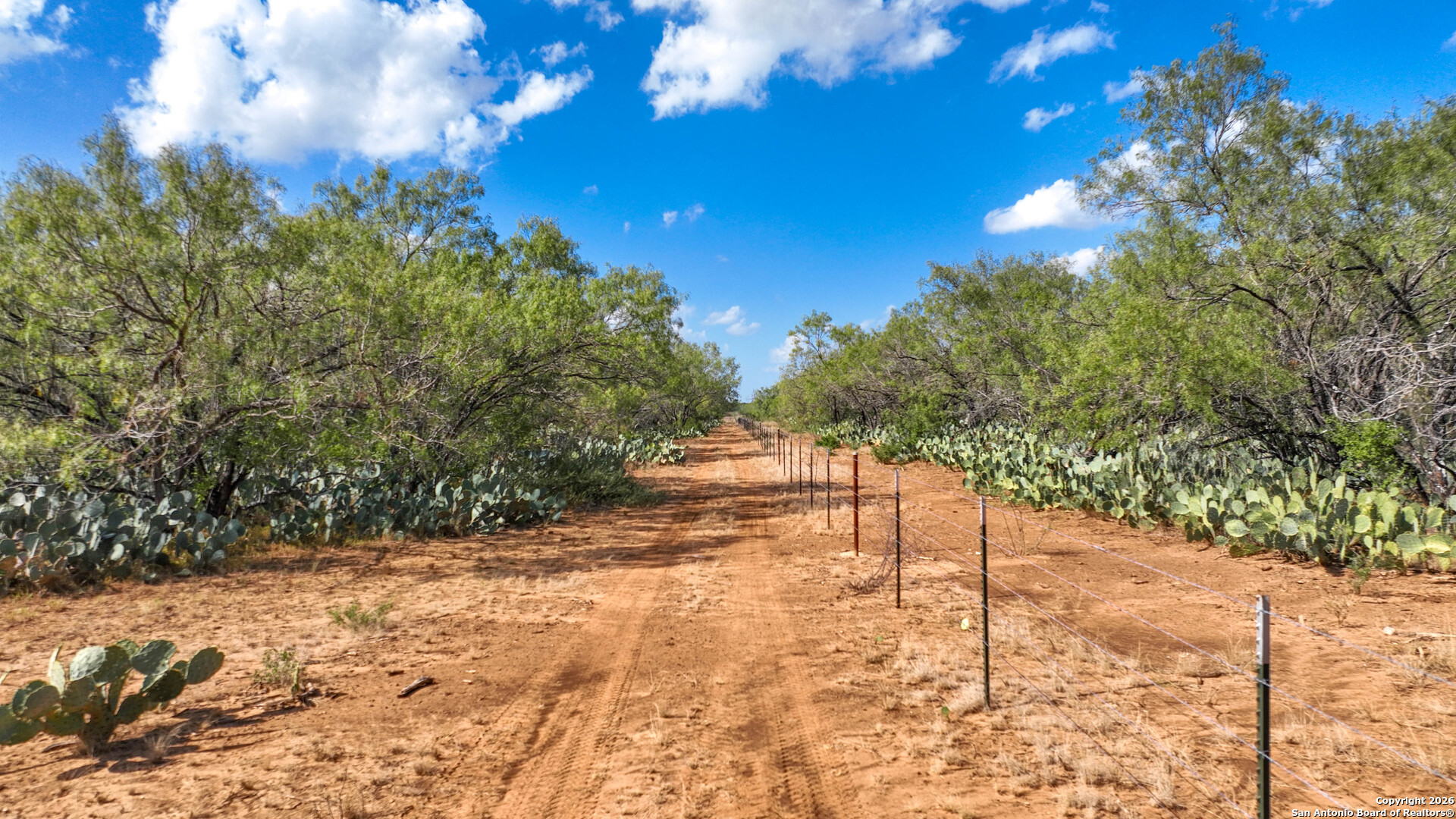 6472 Bluntzer Road Jourdanton, TX 78026 - Photo 39 of 45 a view of backyard of a house