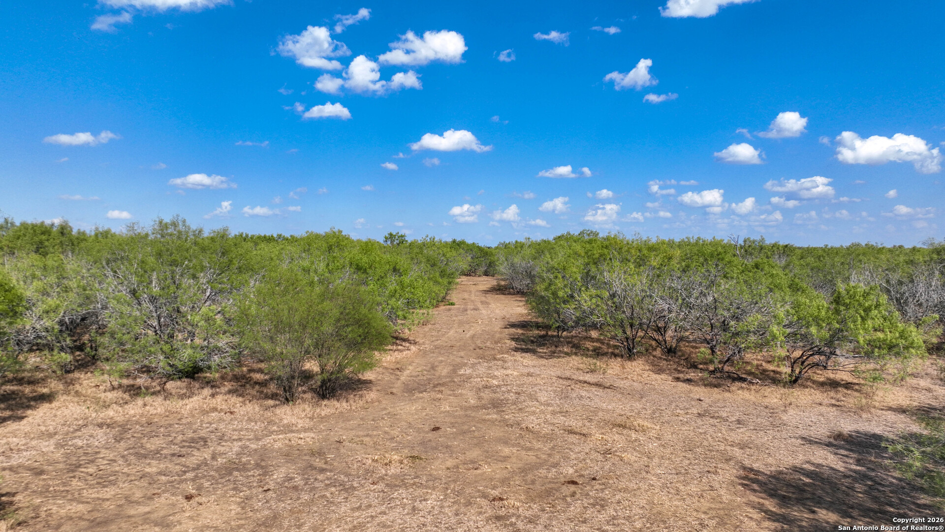 6472 Bluntzer Road Jourdanton, TX 78026 - Photo 42 of 45 a view of a big yard with lots of green space and mountain view