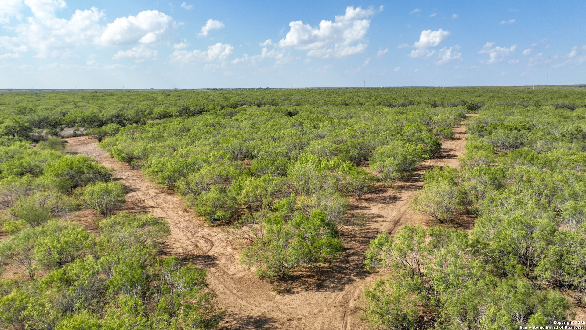 6472 Bluntzer Road Jourdanton, TX 78026 - Photo 43 of 45 a view of an outdoor space and a yard