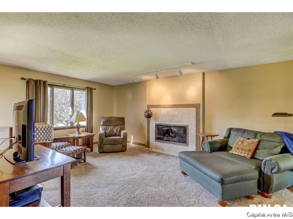 10980 Darnell Road Dawson, IL 62520 - Photo 3 of 36 Gallery Image 3