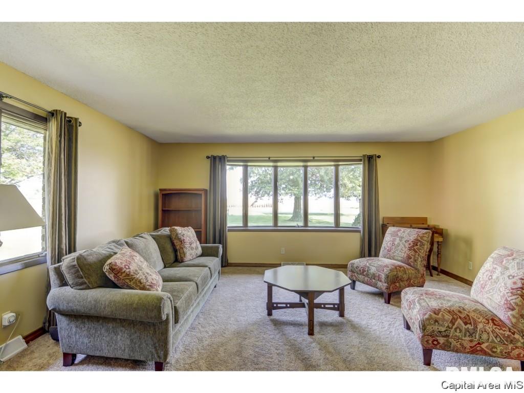 10980 Darnell Road Dawson, IL 62520 - Photo 10 of 36 Gallery Image 10