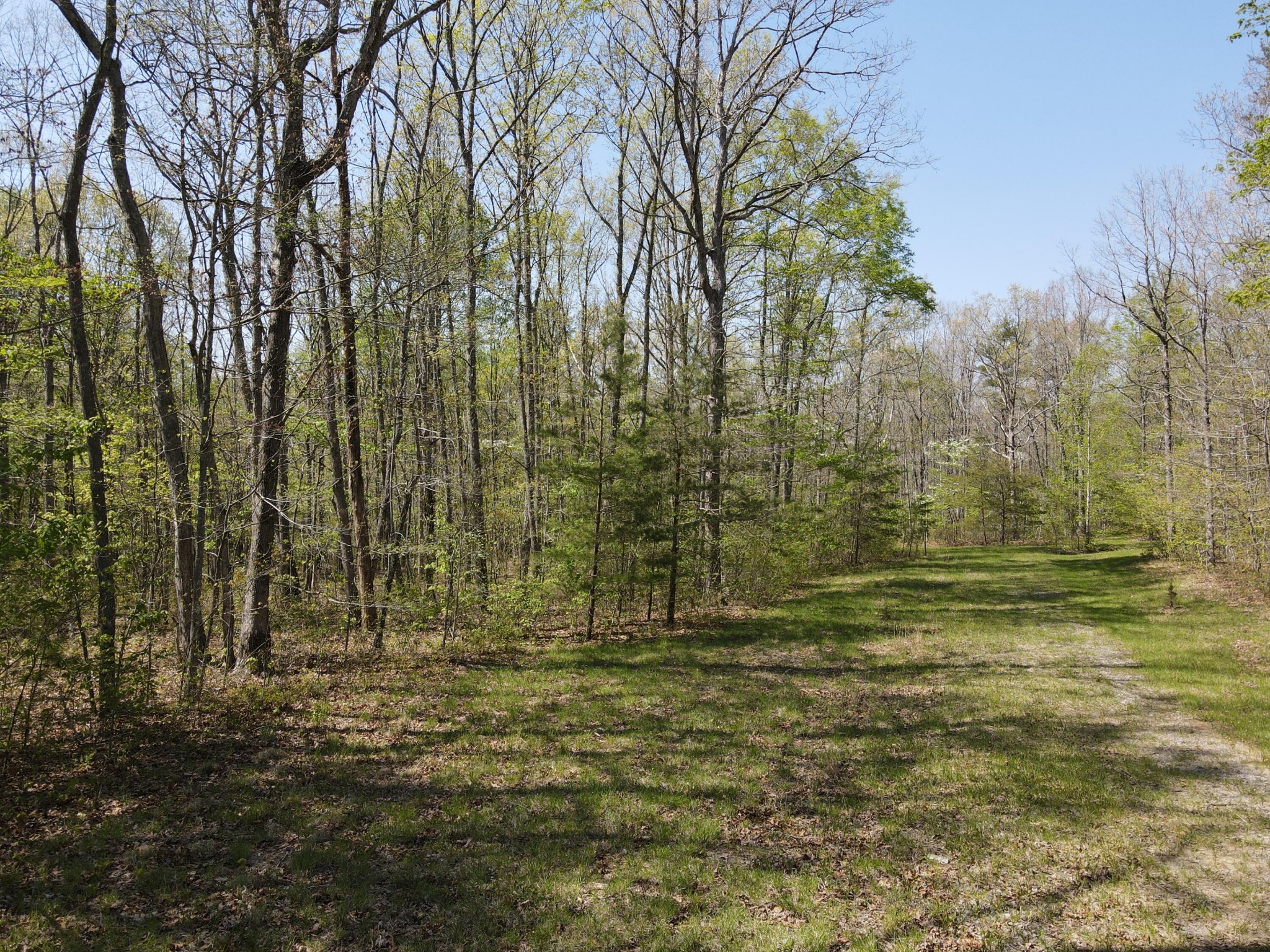 60 Hideaway Cabin Road Altamont, TN 37301 - Photo 14 of 31 Gallery Image 14