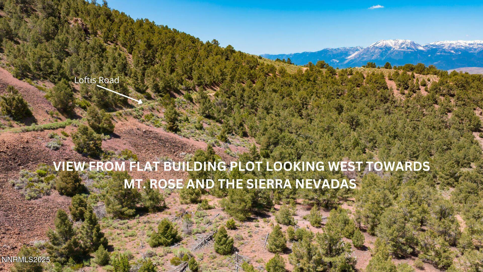 0 Geiger Grade Road, Unit 1675103) Reno, NV 89521 - Photo 3 of 5 a view of a bunch of flowers and trees