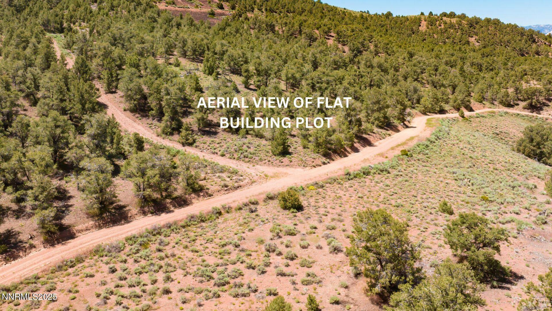 0 Geiger Grade Road, Unit 1675103) Reno, NV 89521 - Photo 5 of 5 a view of a pathway both side of yard