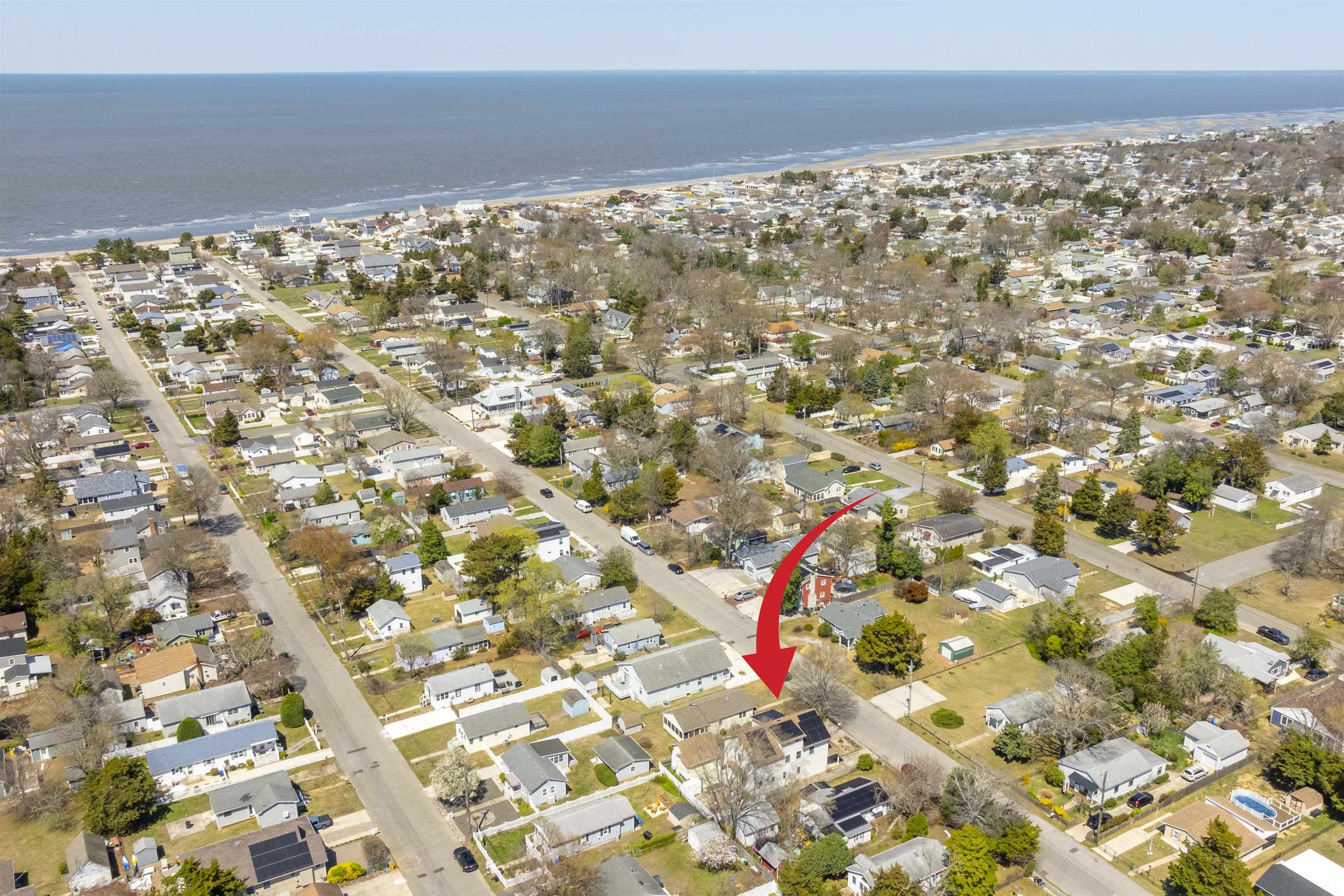 50 Birch Road Villas, NJ 08251 - Photo 48 of 50 a close up of a plant