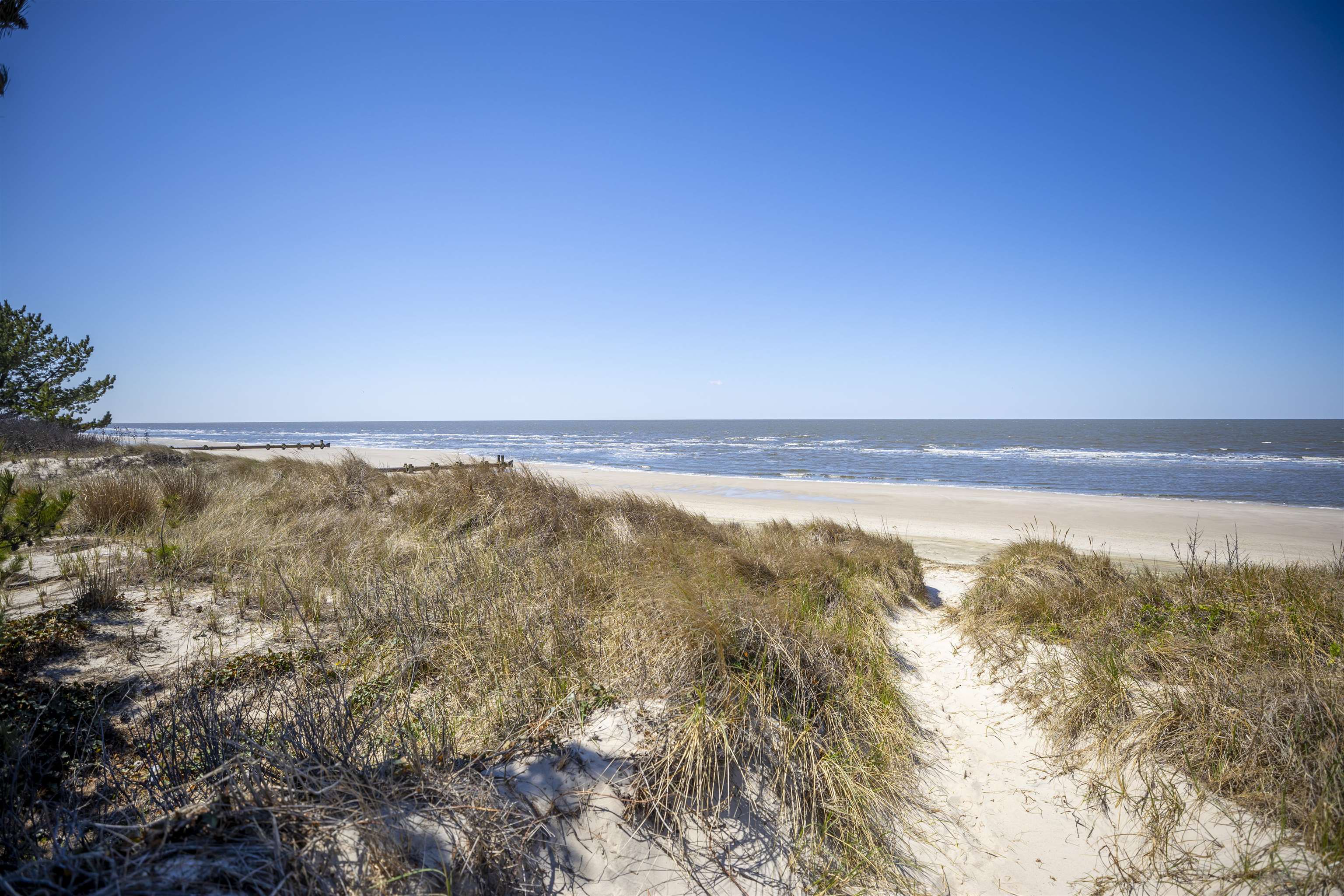 50 Birch Road Villas, NJ 08251 - Photo 50 of 50 a view of an ocean