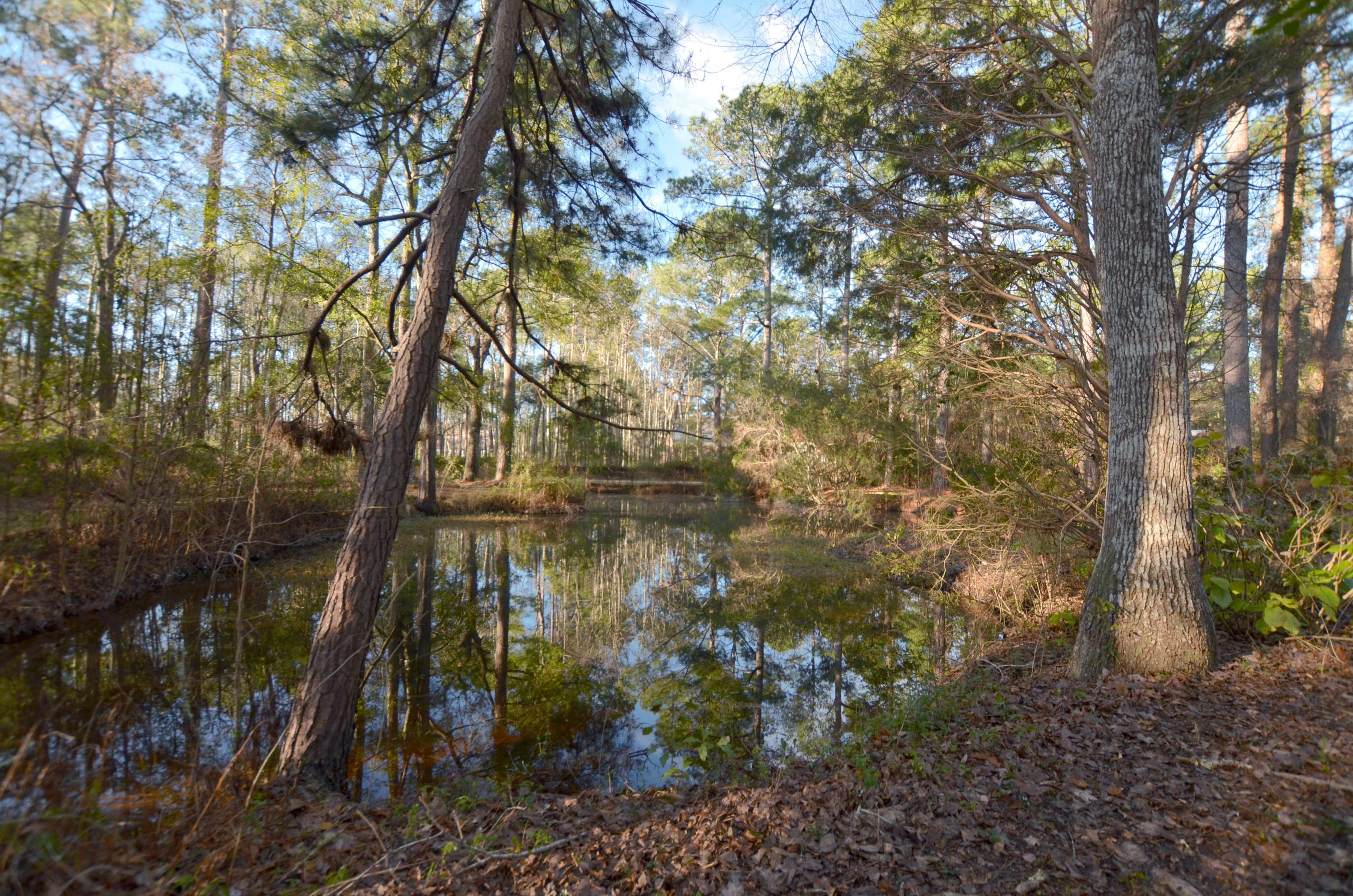 830 West Carolina Road McClellanville, SC 29458 - Photo 4 of 31 4-Yard4