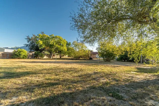 a view of an ocean and trees