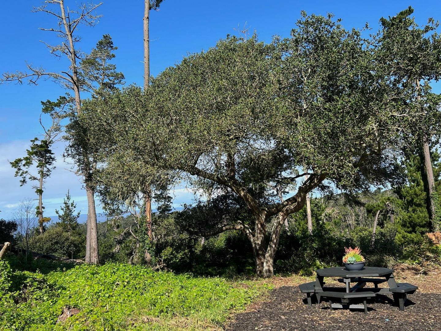 24312 San Juan Road Carmel, CA 93923 - Photo 43 of 47