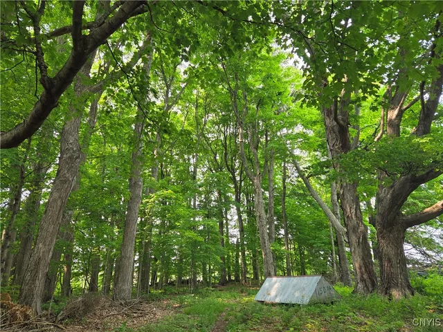 $229,000 | 11311 South Landing Road, Ellisburg, NY 13661