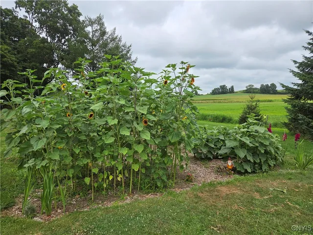 $229,000 | 11311 South Landing Road, Ellisburg, NY 13661