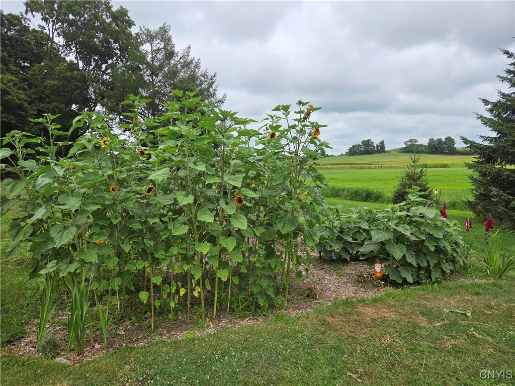 11311 South Landing Road Ellisburg, NY 13661 - Photo 36 of 44