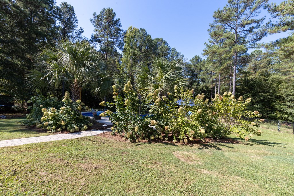 78 Voorhees Road Hamilton, GA 31811 - Photo 27 of 31 Gallery Image 27