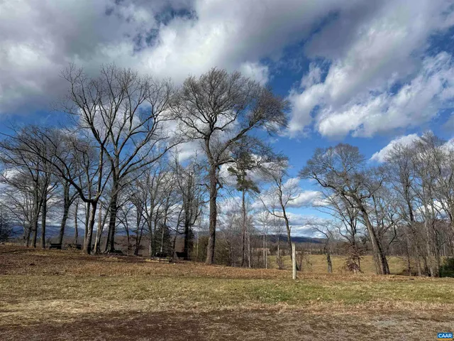 a view of a yard with a tree
