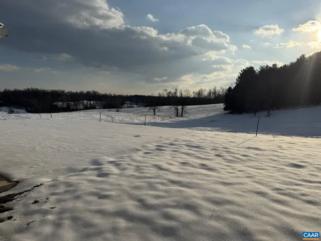 a view of empty space with trees