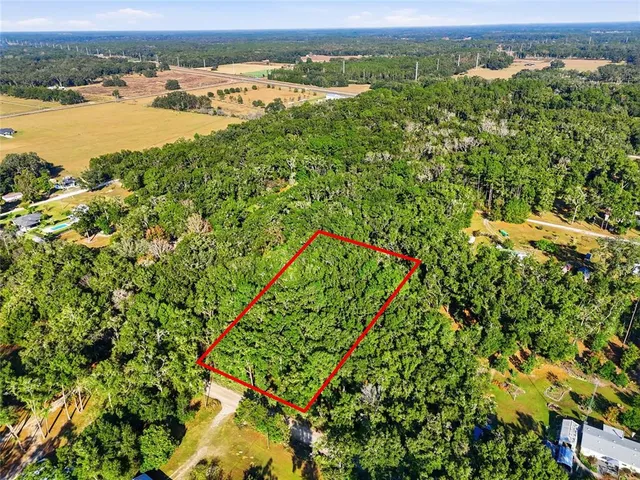 an aerial view of residential houses with outdoor space and trees