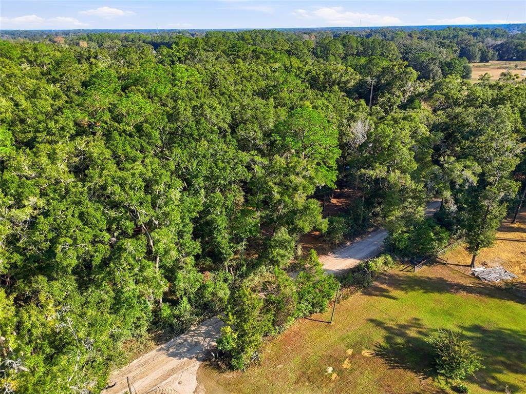 0 Northeast 40th Street Williston, FL 32696 - Photo 8 of 10 a view of a garden