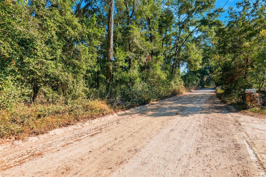 0 Northeast 40th Street Williston, FL 32696 - Photo 9 of 10 a view of a yard with plants and trees