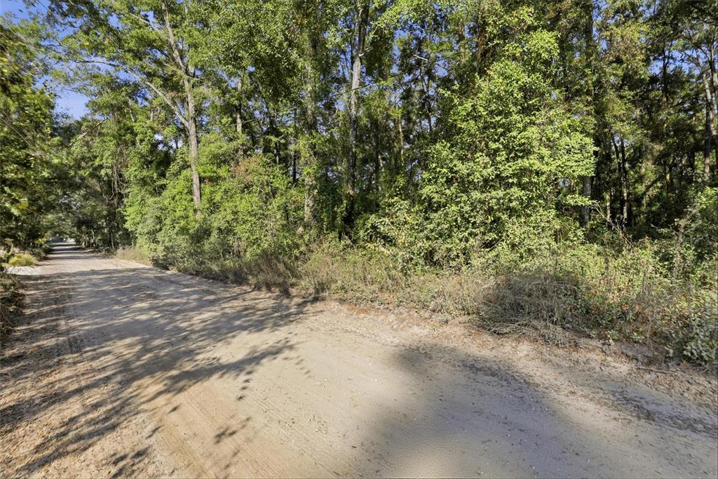 0 Northeast 40th Street Williston, FL 32696 - Photo 10 of 10 a view of a yard with a tree