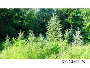 0 Hoot Owl Road Spruce Pine, NC 28777 - Photo 3 of 5 Gallery Image 3