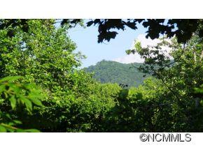0 Hoot Owl Road Spruce Pine, NC 28777 - Photo 4 of 5 Gallery Image 4