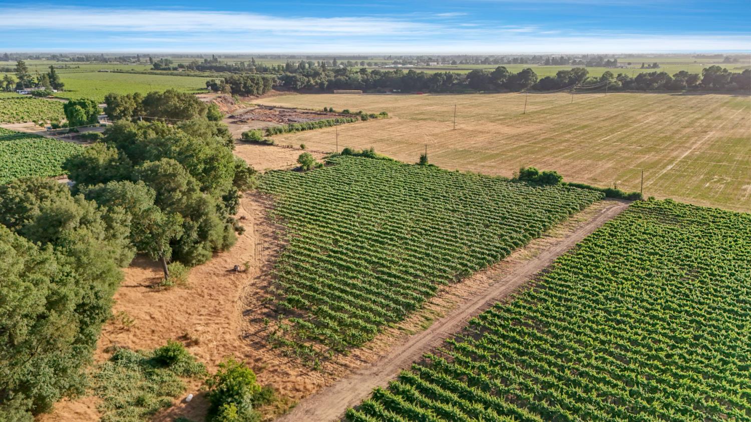 18050 North Tretheway Road Lodi, CA 95240 - Photo 11 of 37