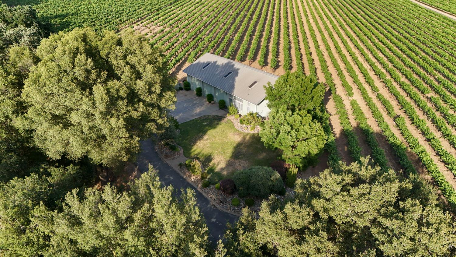 18050 North Tretheway Road Lodi, CA 95240 - Photo 2 of 37 a picture of tree
