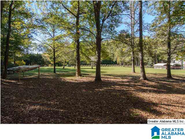 245 Chimney Rock Road Southwest Leeds, AL 35094 - Photo 28 of 32