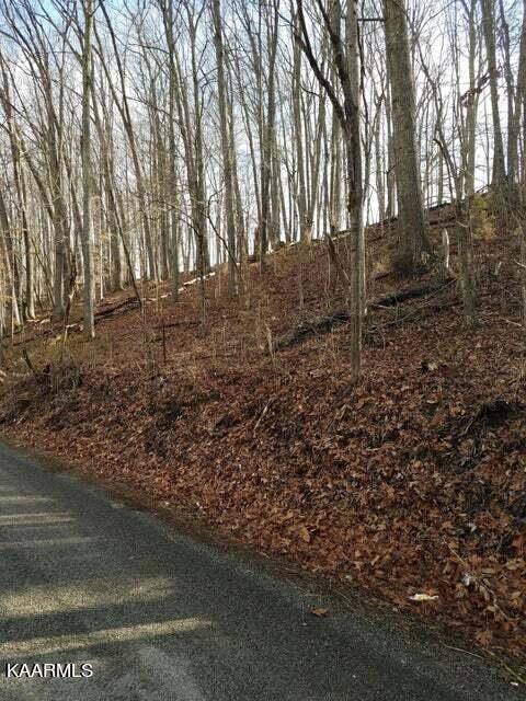 old cave springs road lot 1