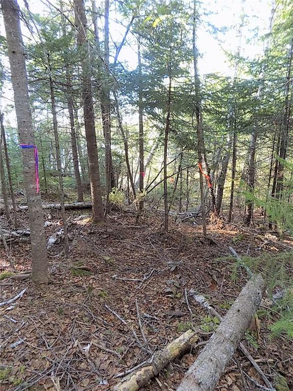 Lot 80 Lyons Road Lubec, ME 04652 - Photo 12 of 29 Photo