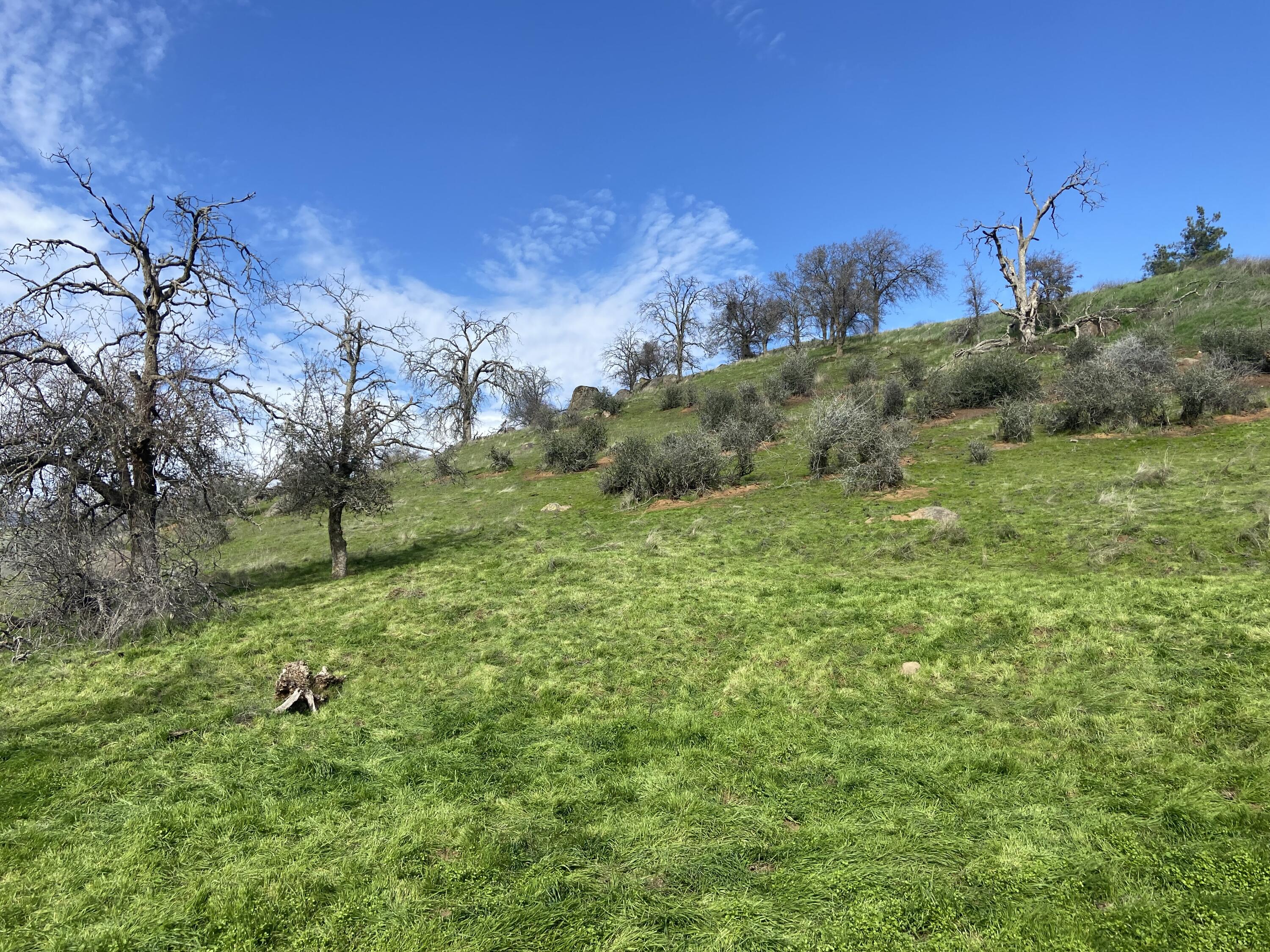 0 Ferndale Drive Three Rivers, CA 93271 - Photo 2 of 10 IMG_7015