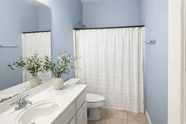 a bathroom with a sink a toilet and shower curtain