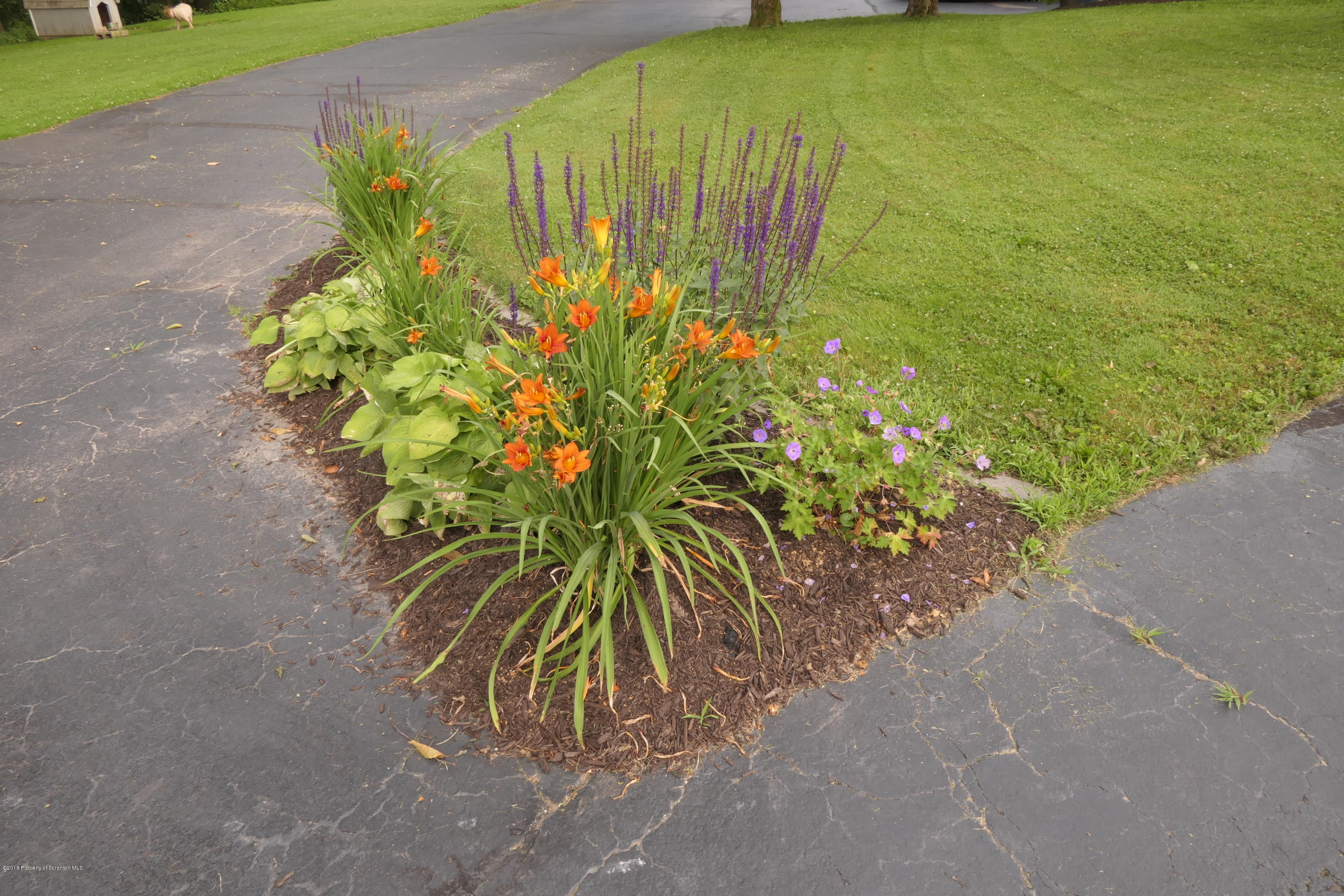 223 Fuller Road Dalton, PA 18414 - Photo 4 of 97 Gallery Image 4