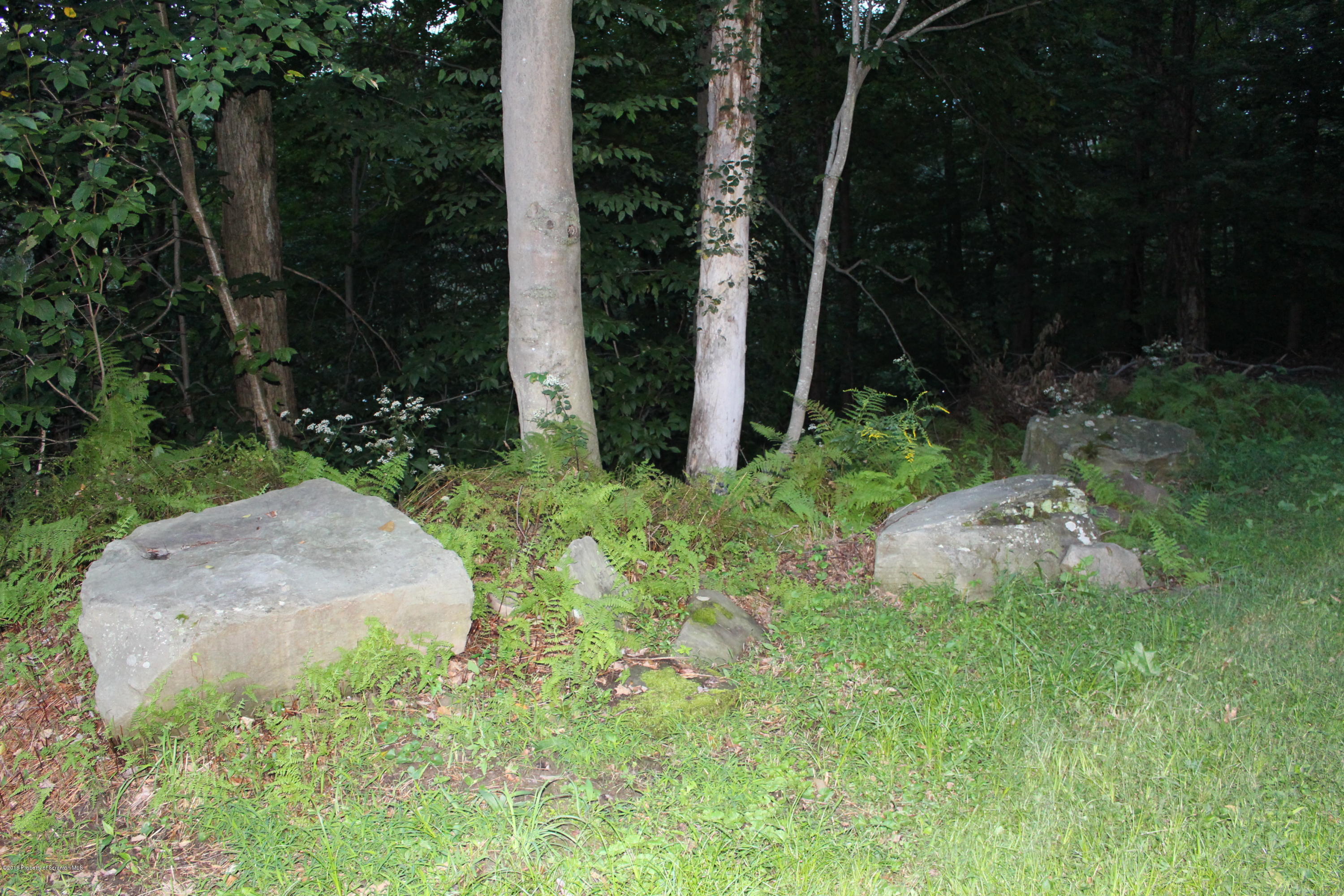 223 Fuller Road Dalton, PA 18414 - Photo 68 of 97 Gallery Image 68