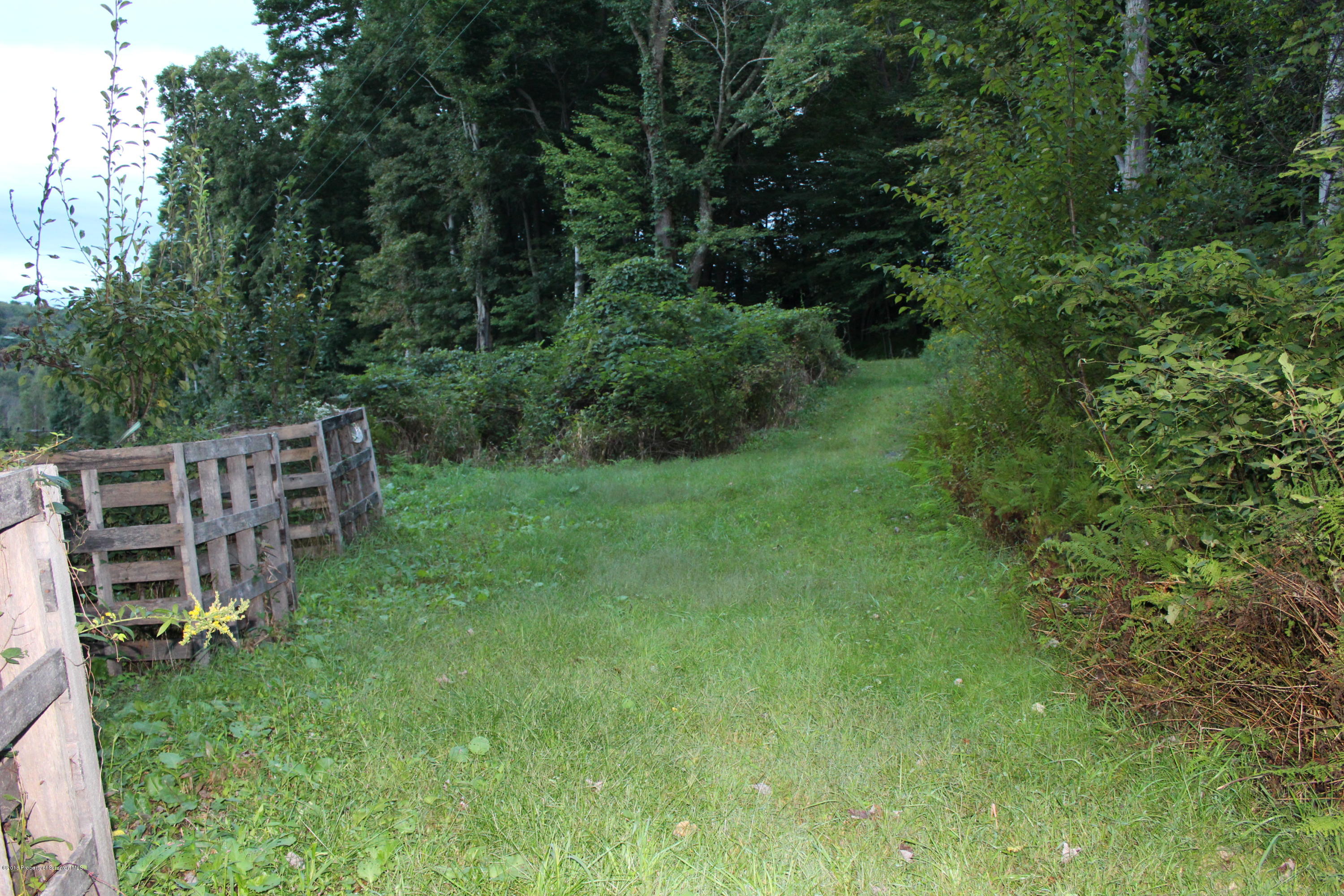 223 Fuller Road Dalton, PA 18414 - Photo 71 of 97 Gallery Image 71