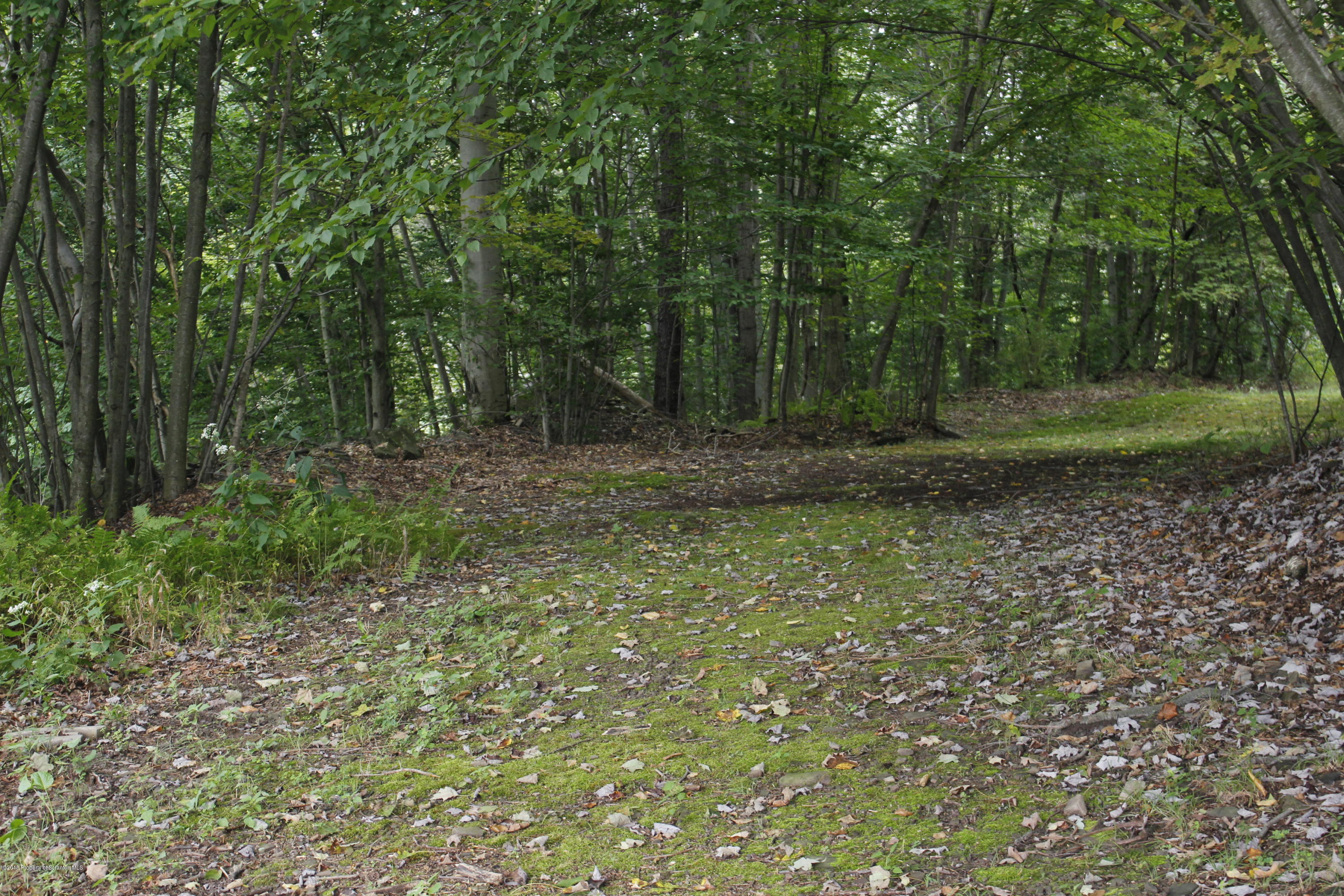 223 Fuller Road Dalton, PA 18414 - Photo 72 of 97 Gallery Image 72