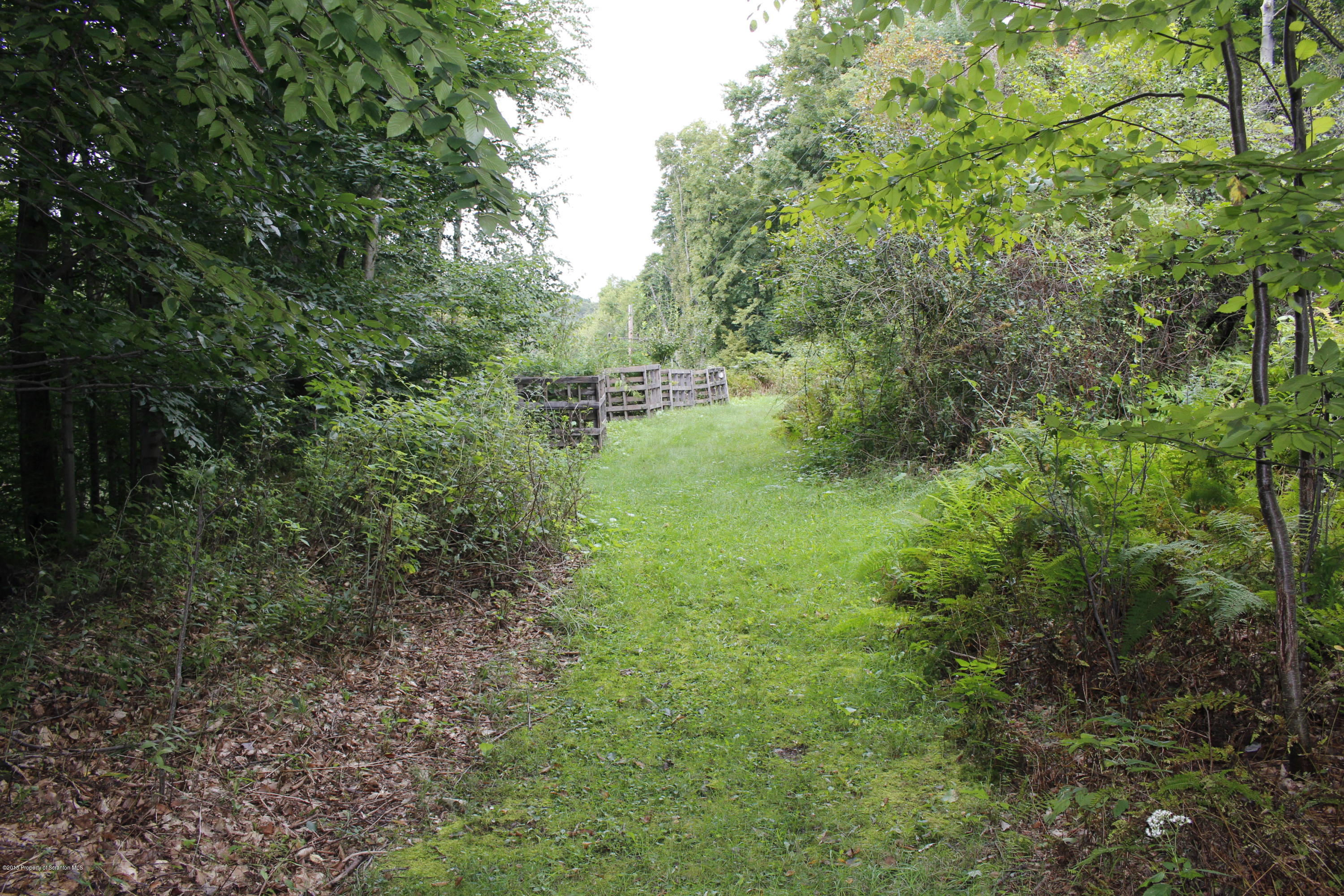 223 Fuller Road Dalton, PA 18414 - Photo 76 of 97 Gallery Image 76