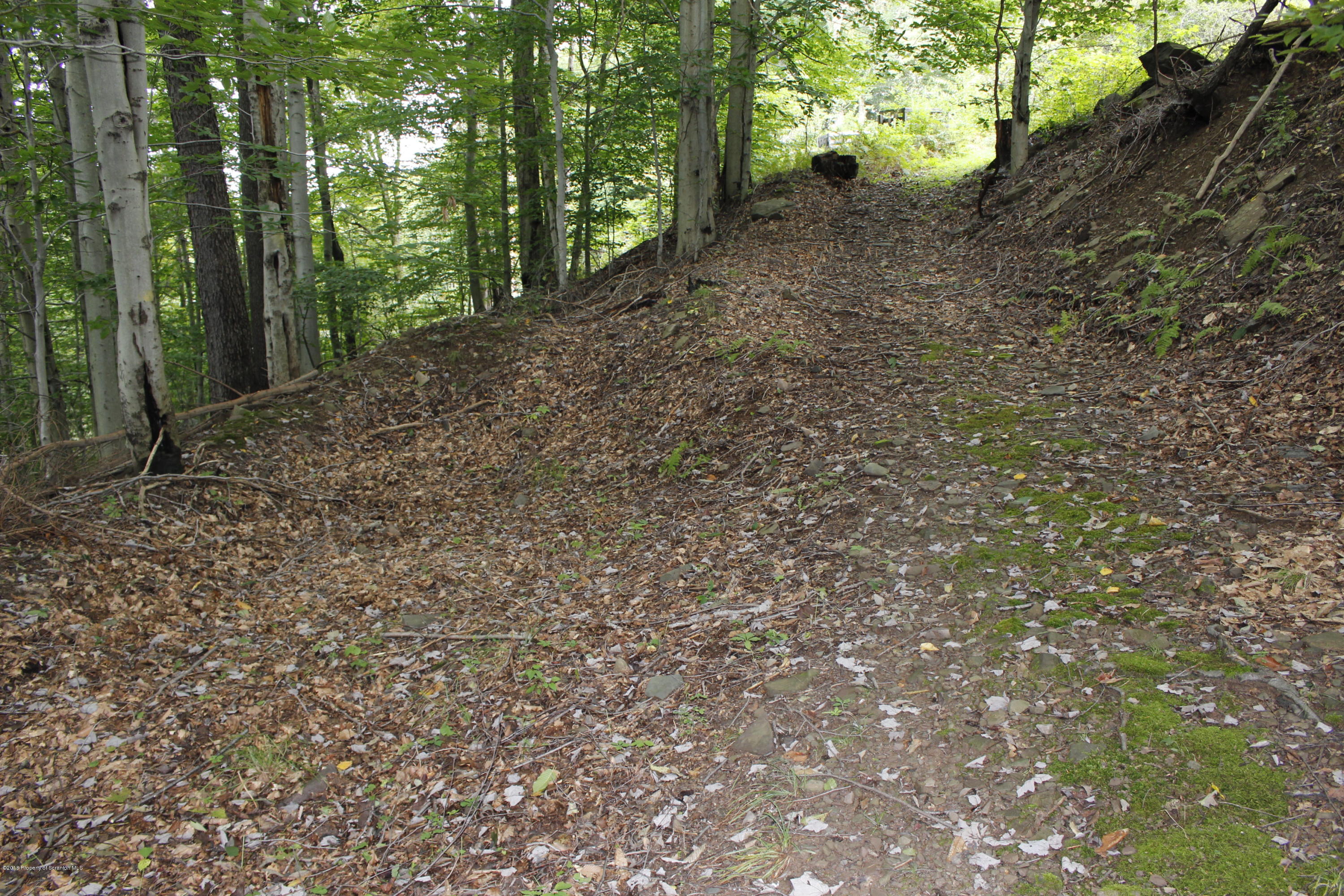 223 Fuller Road Dalton, PA 18414 - Photo 80 of 97 Gallery Image 80