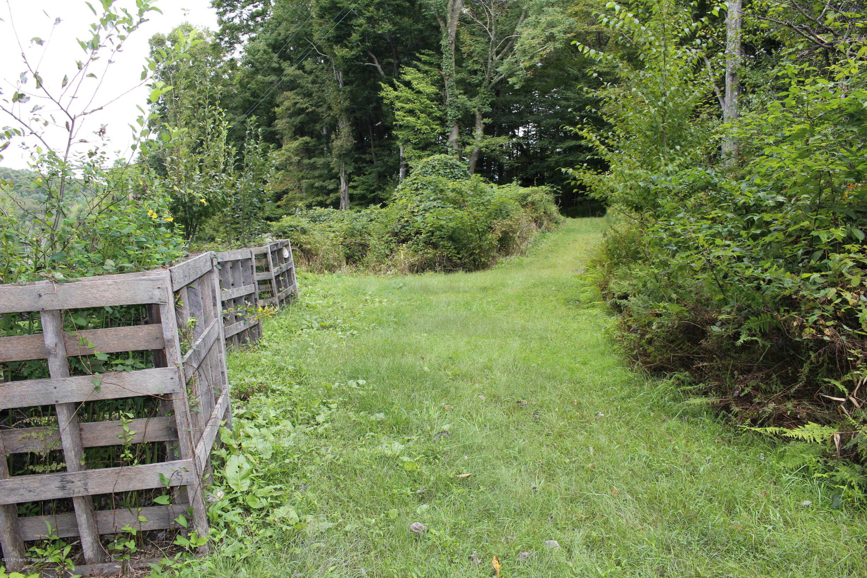 223 Fuller Road Dalton, PA 18414 - Photo 81 of 97 Gallery Image 81